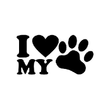 Cats Dogs Kedi Kopek Panosundaki Pin