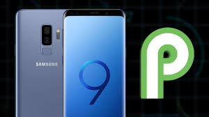 The galaxy s9 and s9+ on comcast's . Install Twrp And Root Galaxy S9 S9 Plus Android 9 0 Pie One Ui Firmware Exynos Variant Naldotech