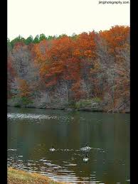 The park is located on shoal creek and commemorates the historical act. David Crockett State Park A Tennessee State Park Located Near Lawrenceburg Columbia