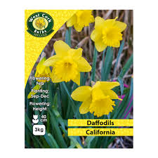 Bulbs, corms, roots & rhizomes. California Daffodils 3kg