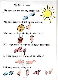 Poem No 4 My Five Senses My Five Senses Five Senses Preschool 5 Senses Preschool