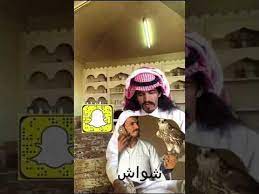 قصيده الطير للشاعر راعي شواش youtube