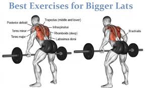 I do karate and kept being told to 'engage my lats,' but wasn't sure how to do this without equipment. Muscle Palace Build Bigger Lats