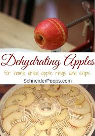 Which mock oranges are best for slicing. Dehydrating Apples To Make Dried Apple Rings And Apple Chips Schneiderpeeps
