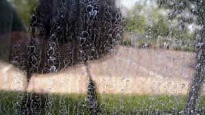 Çam reçinesi lekeleri çam ağaçlarına yaklaştığımız yada çamdan yapılmış bank gibi yapılara temas ettiğimiz zaman kıyafetlerimize bulaşan ve kolay çıkmayan lekelerdir. Ksmaueueyvupsm