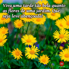 Mensagem de boa tarde linda com flores: Viva uma tarde tão...