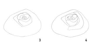 Disegno Rosa Stilizzata Petali Disegnare Con Matita Foglio Bianco Fiori Abbozzi A Matita Disegni Di Rose Disegni