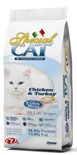 14 toys your cat might actually play with. Special Cat Petdiscountph