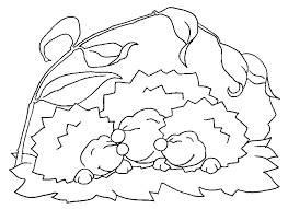 Check spelling or type a new query. Hedgehog Coloring Pages Best Coloring Pages For Kids