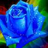 An indie singer and guitar strummer who loves to write songs. Https Encrypted Tbn0 Gstatic Com Images Q Tbn And9gctxykfgila3f 7sjbm5rcaxutkhiifppcz W Ha824xvjpbsjxi Usqp Cau