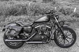 Pin On Sportster Iron 883