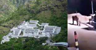 Download vaishno devi wallpapers and high quality vaishno devi hd wallpapers full size for latest background collection of vaishno devi images, vaishno devi photos, vaishno devi pictures. Cctv Captures Leopard In Vaishno Devi Locals Call It Mata Rani Ka Sher