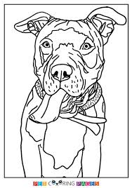 See more ideas about dog coloring page, coloring books, animal coloring pages. Pin On Animals