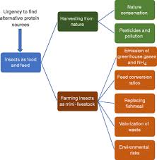 Agrobiodiversity is a precious resource that we are losing, and yet it can also help solve or mitigate many challenges the world is facing. The Environmental Sustainability Of Insects As Food And Feed A Review Springerlink