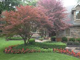 Pin On Landscaping