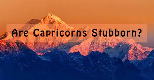 Even though these individuals have amazing personality traits, of all twelve zodiac signs. Are Capricorns Stubborn Capricorn Traits
