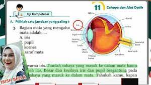 Materi yang dibahas pada soal ini yaitu cahaya dan alat optik. Jawaban Soal Pg Uji Kompetensi Bab 11 Cahaya Dan Alat Optik Ipa Kelas 8 Hal 224 Youtube