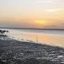 Escasez de agua dulce afecta a más de 10 comunidades indígenas en Delta Amacuro