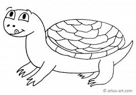 Similar images ornate box turtle coloring page realistic common snapping turtle coloring pages Animals Coloring Pages Printable Animals Coloring Sheets For Free
