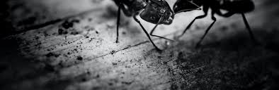 How much does a pest control technician make in west chester, pa? Insects Pest Controllers Services