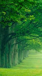 1080x1920 Amazing Nature 1080 X 1920 Background Vertical Desktop Images Background Photos Download Hd Free Windows Wallp Green Nature Nature Nature Photography We have 47+ amazing background pictures carefully picked by our community.