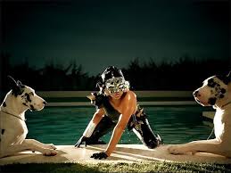 Lady gaga asserts poker face is about bisexuality. Lady Gaga Pokerface Video Great Danes Great Dane Lady Gaga Harlequin Great Danes