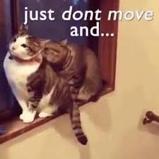  Melody Takahashi Watanabehoshimichelle24 Profil Pinterest