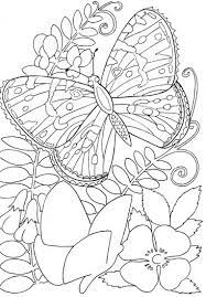 They have been interpreted in a variety of ways this coloring page shows a beautiful zebra swallowtail butterfly fluttering around a flower for some nectar. Pin By Marsha Maramba On Coloring Pages Butterfly Coloring Page Flower Coloring Pages Coloring Pages