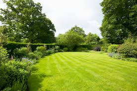 Here we have everything you need. Tips For Growing A Green Lawn