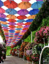 Who would have thought that a beautiful garden exists in a desert city? 45 Photos Of The Amazing Dubai Miracle Garden Dubai Travel Blog