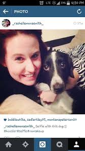 Lost dog near Sundown Lane Elementary