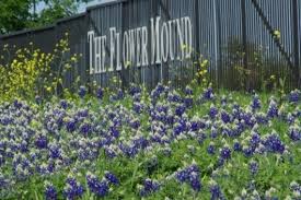 Introduction To Flower Mound Texas Mental Itch Flower Mound Flower Mound Tx Texas