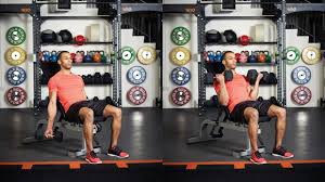 We did not find results for: Bulk Up Your Biceps With Dumbbell Curls Coach