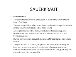 Wine Production Ppt Download