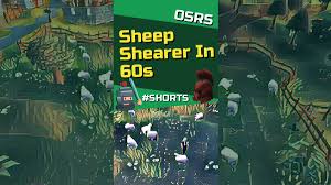 Voor dit klusje dien je met osman te praten. The Lumbridge Knight On Twitter Black Knights Fortress Osrs Quest Guide This Quest Has A Funny Homage To The Mission Impossible Franchise A Self Destructing Dossier Https T Co C9y7gtvay5 Thelumbridgeknight Osrs Osrsblackknightsfortress