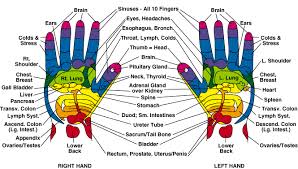 Foot Reflexology Oil Usage Chart Google Search Hand