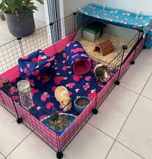 More images for how big of a cage for 2 guinea pigs » Guinea Pig Cage How To Choose The Right One Bree Co