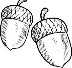 Get this free fall coloring page and many more from primarygames. Acorn Or Buckeye Coloring Pages Coloring Sky