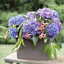 Our Favorite Hydrangea Arrangements Hydrangea Arrangements Hydrangea Flower Arrangements Favorite Hydrangea