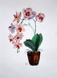 Original Watercolor Orchid Painting Flower Fine Art Illustration Floral Painting Flower Wall Art Painting Orchid Flower Gift For Her Flower Art Painting Flower Painting Original Watercolor Art