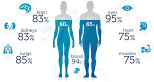 1 most of this will come from fluids but some from solid or liquid food. The Human Body And Water Amazing Soak