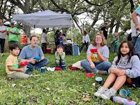 Howl at the Wolf Oak: Summer Solstice Edition