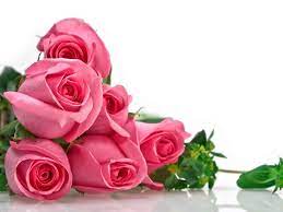 pc wallpaper pink flowers roses and top wallpaper hq backgrounds rose flower wallpaper pink rose bouquet flower wallpaper
