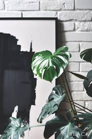 Facebook Addictedtoblackpl Shop Addictedtoblack Pl Plant Leaves Plants Leaves