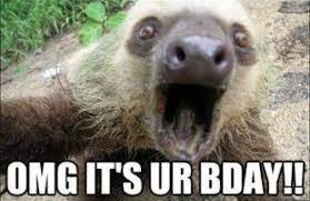 Pin By Courtney Stoddard On Funny Stuff Cute Sloth Pictures Sloths Funny Funny Animals