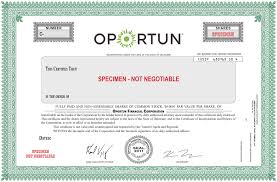 Oportun Financial Corp Ipo Investment Prospectus S 1 A