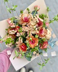 Image result for Ranunculus volkensii