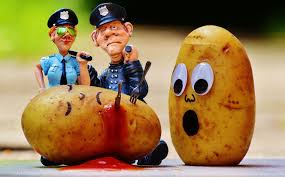 Die Besten Polizei Witze Und Polizei Spruche Wir Lieben Es Lustigs Webseite