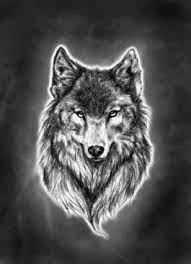 Another reason for their popularity is because wolves have expressive faces that can showcase many different emotions and ideas. 65 Ideas For Tattoo Wolf Head Design Wolf Tattoos Head Tattoos Wolf Tattoo Design