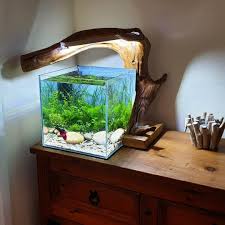 Nano Betta Planted Tank With Cool Led Lamp Stand Cool Fish Tanks Fresh Water Fish Tank Betta Tank